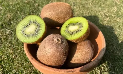 تصویر 4 از خرید و فروش کنسانتره کیوی با شرایط فوق العاده